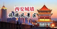 大鸡巴插进逼逼里喷水了中国陕西-西安城墙旅游风景区