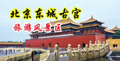 日本体内射精高清在线观看中国北京-东城古宫旅游风景区